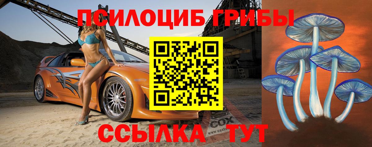 Галлюциногенные грибы GOLDEN TEACHER Мурино